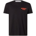 T-shirts med korta ärmar Calvin Klein Jeans J30J321772BEH