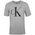 T-shirts med korta ärmar Calvin Klein Jeans 000NM1903EYG42