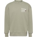 Sweatshirts Tommy Jeans SUDADERA HOMBRE DM0DM13870