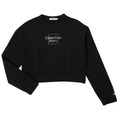 Sweatshirts Calvin Klein Jeans METALLIC BOX LOGO SWEATSHIRT