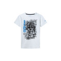 T-shirts med korta ärmar Pepe jeans ALAN
