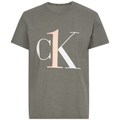 T-shirts med korta ärmar Calvin Klein Jeans 000QS6436E1XQ