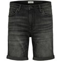Shorts & Bermudas Selected Short en jeans Alex 334