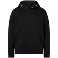 Sweatshirts Calvin Klein Jeans J30J321883BEH