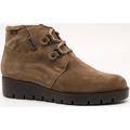 Skor CallagHan -