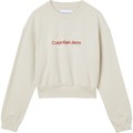 Sweatshirts Calvin Klein Jeans J20J218165ACF