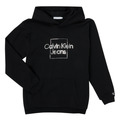 Sweatshirts Calvin Klein Jeans METALLIC BOX LOGO RELAXED HOODIE