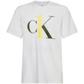 T-shirts med korta ärmar Calvin Klein Jeans 000NM1903EKLR