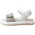 Sandaler Calvin Klein Jeans 26315-18
