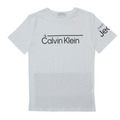 T-shirts med korta ärmar Calvin Klein Jeans INSTITUTIONAL LINED LOGO T-SHIRT