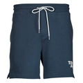 Shorts & Bermudas Tommy Jeans TJM ENTRY GRAPHIC SHORT