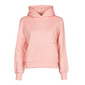 Sweatshirts Calvin Klein Jeans OFF PLACED MONOGRAM HOODIE